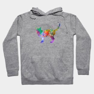 Singapura cat in watercolor Hoodie